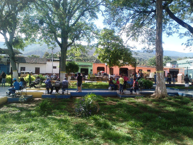 Humocaro Alto – VIDEO –